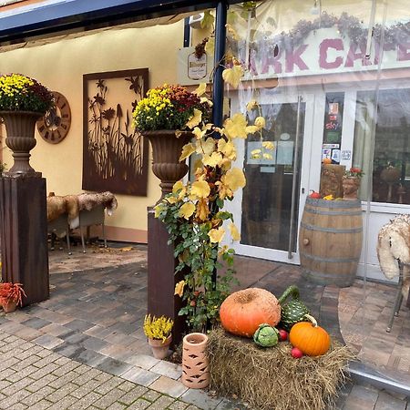 Ferienwohnungen Park Cafe Am Kurpark Bernkastel-Kues Eksteriør billede